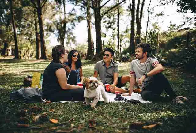 group of good friends on a picnic